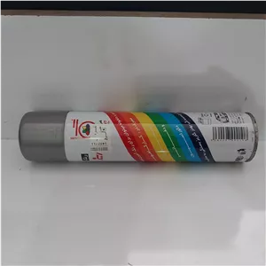 اسپری رنگ نقره ای