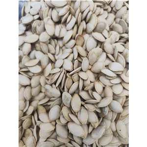 تخمه کدوی سوپر بوداده و شور فوق ممتاز