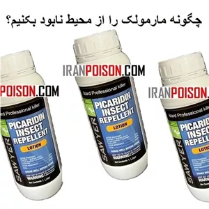 سم مارمولک ساویر برای خانه، اتاق و محیطهای مختلف
