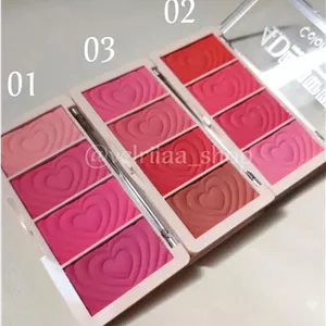 پالت رژگونه کالر فیش مدل 4D
