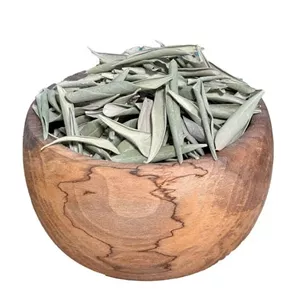 برگ زیتون(عمده)