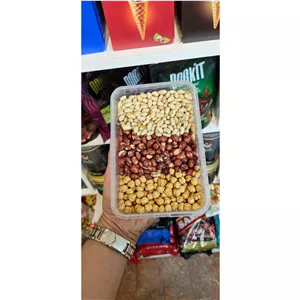 آجیل مدرسه اقتصادی 250 گرم