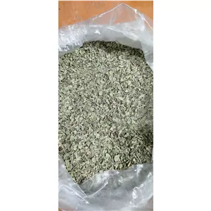 آویشن برگ پهن گرمسیری