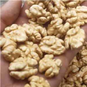 مغز گردو صادراتی لوکس - فوق اعلا - تویسرکان