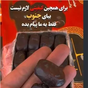 خرما مضافتی لوکس برداشت امسال با قیمت عمده