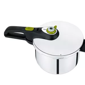 زودپز تفال مدل P2534442