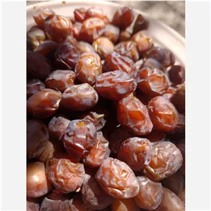 خرما خاصویی صادراتی