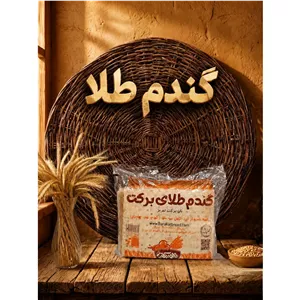 نان کامل گندم طلا