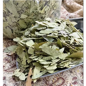 برگ سنا (کمک به رفع یبوست)100 گرمی