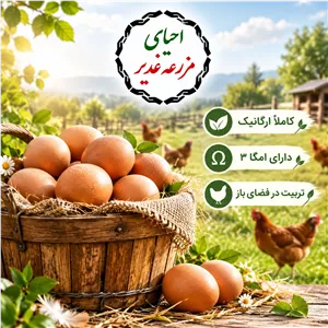 تخم مرغ محلی و ارگانیک مزرعه غدیر 15عددی