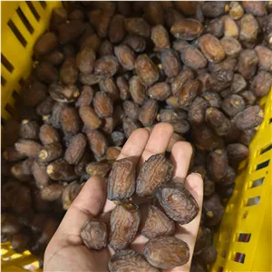 خرما بریمی آجیلی گوشتی پیچی 