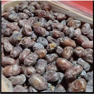 خرمایی کلیته درجه یک 