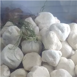 کشک خالص گوسفندی