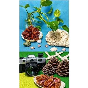 خرمای کودک ( راحت الحلقوم ) بدون هسته