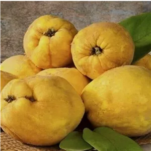 میوه تازه و پاییزی به مراغه(یک کیلوگرم)
