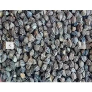 بذر گل گاوزبان ایرانی 200گرمی