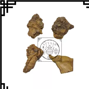 آنغوزه کخ انغوزه حلتیت ایرانی (28گرم)