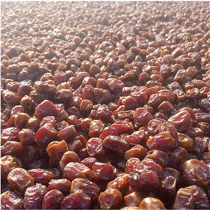 خرمای اصل میناب