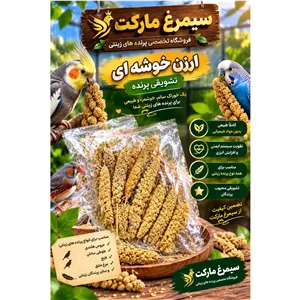 ارزن خوشه پرنده تشویقی 