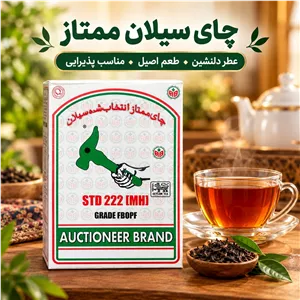 چای سیلان ممتاز آکبر مدل دو پنکه، درجه ویژه، وزن 500 گرم