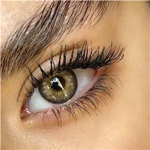 لنز سلنا کمل عسلی دور دار