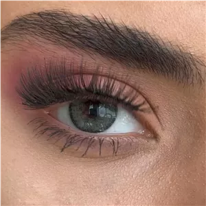 لنز لابلا شدو طوسی سبز