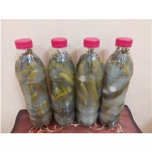 خیارشورونایی خوشمزه اول بخوربعدببر(خردوعمده)