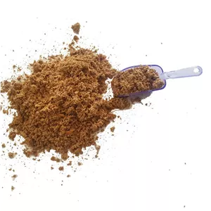 پودر قارچ شیتاکه 50 گرمی