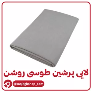 لایی پرشین طوسی روشن