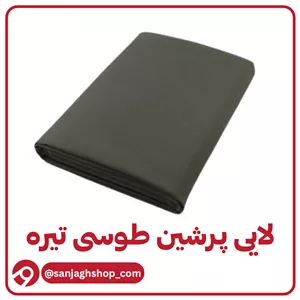 لایی پرشین طوسی تیره