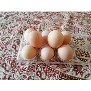 تخم مرغ رسمی دونه ای