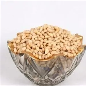 سویا اجیلی 500گرم