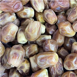 خرما زاهدی درجه یک قصب
