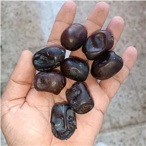 خرمای جوزی (پس کرایه)