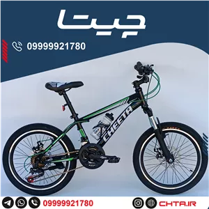 دوچرخه چیتا سایز 20 اورسایز ترمز دیسکی مشکی سبز با قمقمه bsa