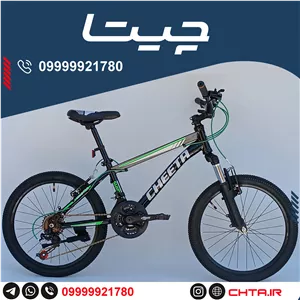 دوچرخه چیتا سایز 20 اورسایز ترمز ویبریک مشکی سبز با طوقه مشکی bsa