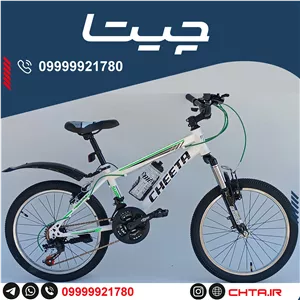 دوچرخه چیتا سایز 20 اورسایز ترمز ویبریک سفیدسبز طوقه استیل با گلگیر و قمقمه bsa