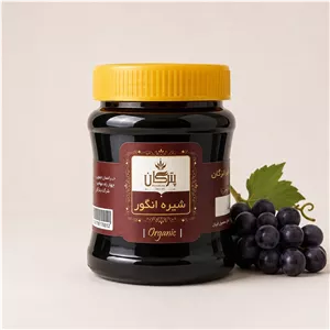 شیره انگور ناب پترگان طعم اصیل و شیرین طبیعت 500 گرم