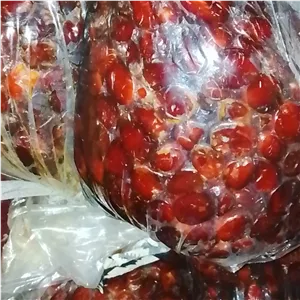 خرما خوب درجه یک جنوب مرداسنگ