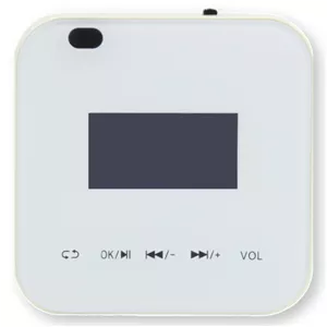 پنل صوتی MP-86