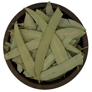 برگ اکالیپتوس