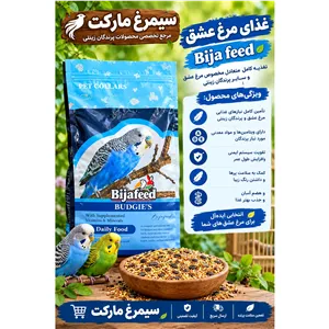 دانه مرغ عشق پرندگان 