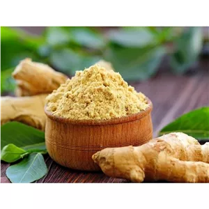 پودر زنجبیل اعلا 100 گرمی ادویه راز خالص و خوش عطر
