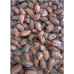 خرما رودان