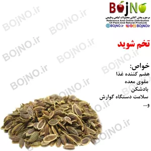 تخم شوید 100گرمی