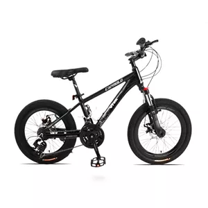 دوچرخه کاپریولو مدل ویوا سایز 20 (Capriolo Viva)