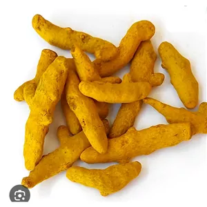 زردچوبه قلم ممتاز اعلا  