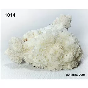 سنگ زینتی آراگونیت مرجانیcode:1014