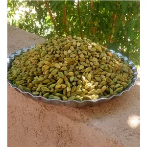 هل اکبر بنفش لوکس،دستچین شده ( 100 گرم )
