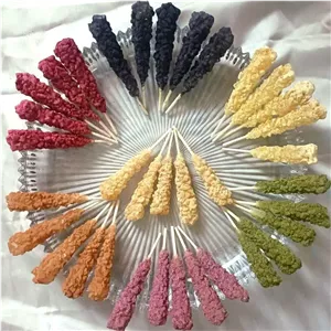 نبات شاخه ای طعم دار گیاهی